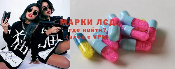 хмурый Белокуриха
