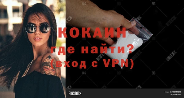 дмт Богданович