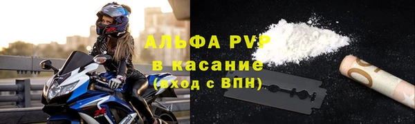 хмурый Белокуриха