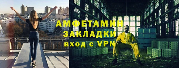 хмурый Белокуриха