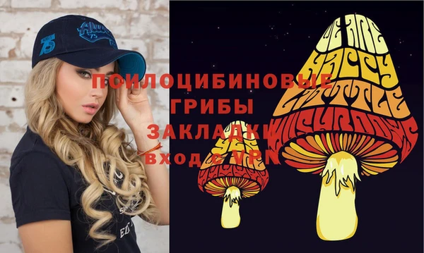 дмт Белоозёрский