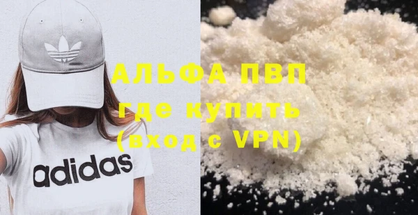 хмурый Белокуриха